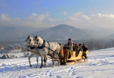 Sledeføring i Zakopane 